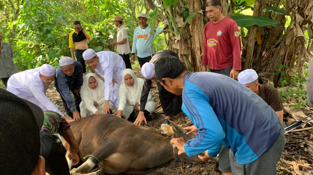 Ibadah Kurban di Desa Mahang Sungai Hanyar Berlangsung Penuh Kebersamaan